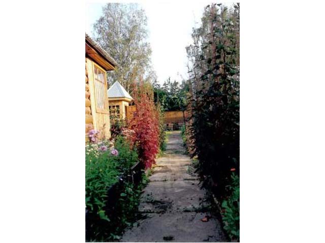 дача Покровка