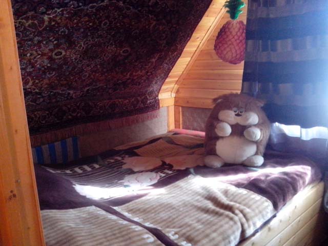 купить дом в д. Шуклово Вахонинского с\п недорого в Подмосковье без посредников